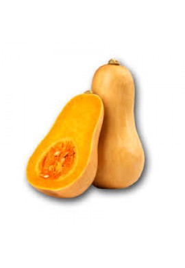 Butternut pumpkin 1Pc