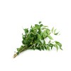 Curry leaves pkt