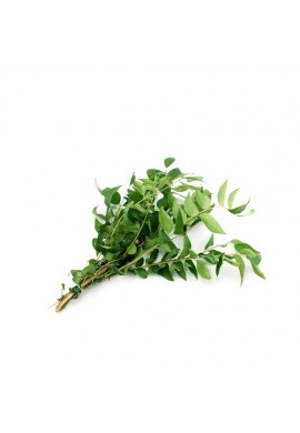 Curry leaves pkt