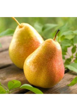 Pear Rosemary 1kg