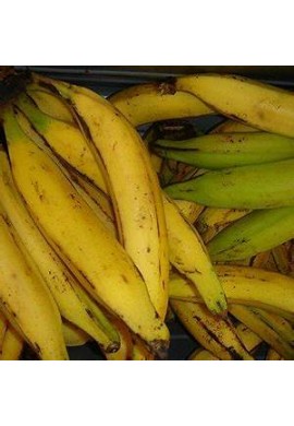 Banana – Plantain (Ethakka) 1kg